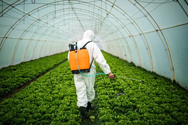 Best Affordable Exterminators  in Roma, TX