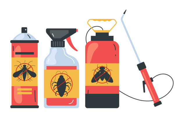 Best Flea Control Services  in Roma, TX