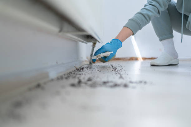 Best Best Pest Control Companies  in Roma, TX